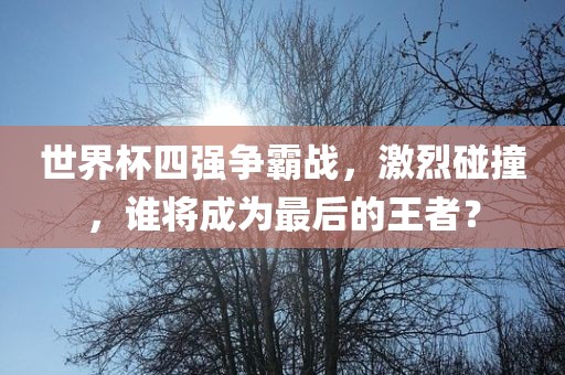 世界杯四强争霸战，激烈碰撞，谁将成为最后的王者？广西贺州市华昌新材料有限公司