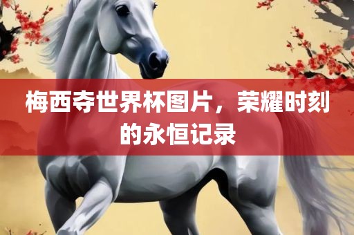 梅西夺世界杯图片，荣耀时刻的永恒记录
