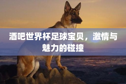 酒吧世界杯足球宝贝，激情与魅力的碰撞广西贺州市华昌新材料有限公司