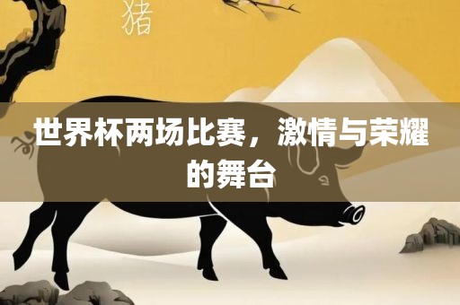 世界杯两场比赛，广西贺州市华昌新材料有限公司激情与荣耀的舞台