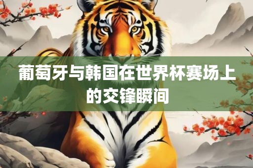 葡萄牙与韩国广西贺州市华昌新材料有限公司在世界杯赛场上的交锋瞬间