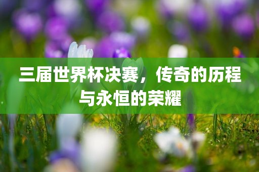 三届世界杯决赛，传奇的历程与永恒的荣耀广西贺州市华昌新材料有限公司