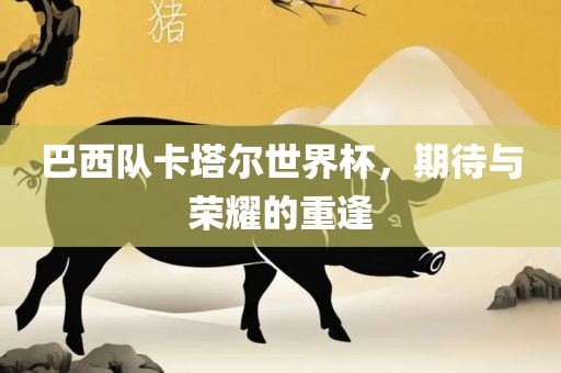 巴西队卡塔尔世界杯，期待与荣耀的重逢