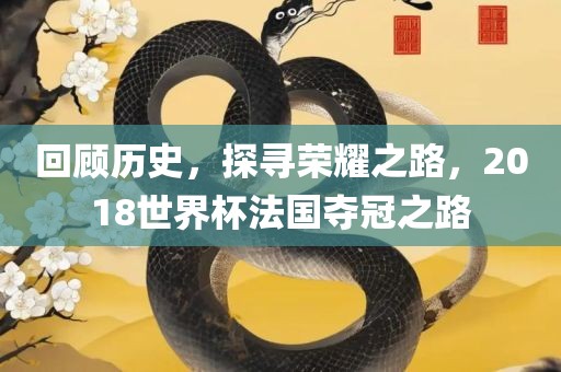 回顾历史，探寻荣耀之路，2018世界杯法国夺冠之路广西贺州市华昌新材料有限公司