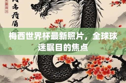 梅西世界杯最新照片，全球球迷瞩目的焦点广西贺州市华昌新材料有限公司