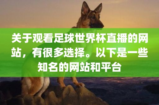 关于观看足球世界杯直播的网站，有很多选择。以下是一些知名的网站和平台广西贺州市华昌新材料有限公司