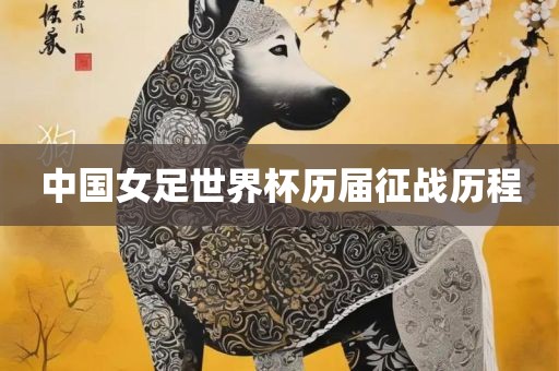 中国女足世界杯历届征战历程
