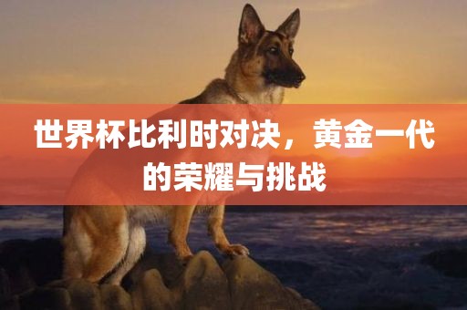 世界杯比利时对决，黄金一代的荣耀与挑战广西贺州市华昌新材料有限公司