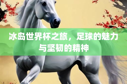 冰岛世界杯之旅，足球的魅力与坚韧的精神