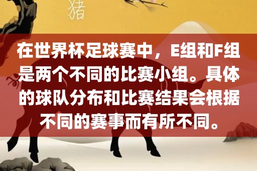 在世界杯足球赛中，E组和F组是两个不同的比赛小组。具体的球队分布和比赛结果会根据不同的赛事而有所不同。广西贺州市华昌新材料有限公司