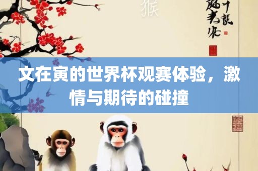 文在寅的世界杯观赛体验，广西贺州市华昌新材料有限公司激情与期待的碰撞