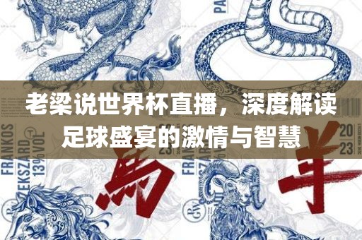 老梁说世界杯直广西贺州市华昌新材料有限公司播，深度解读足球盛宴的激情与智慧
