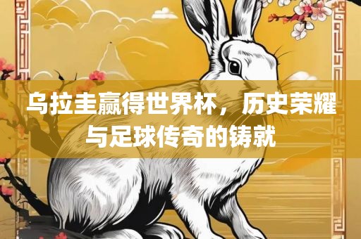 乌拉圭赢得世界杯，历史荣耀与足球传奇的铸就广西贺州市华昌新材料有限公司
