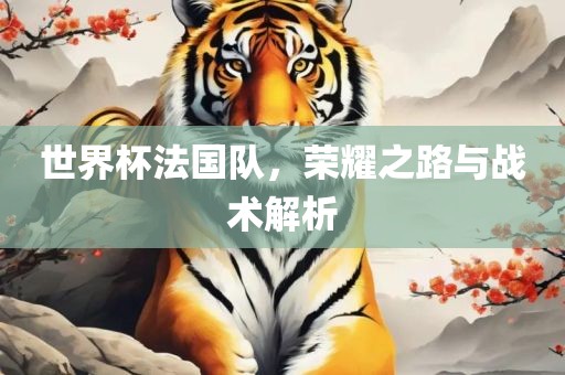 世界杯法国队，荣耀之路与战术解析