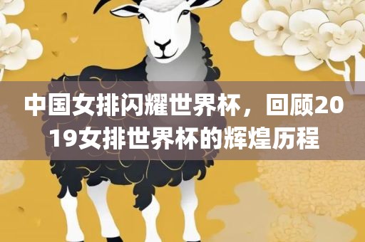 中国女排闪耀世界杯，回顾2019女排世界杯的辉煌历程