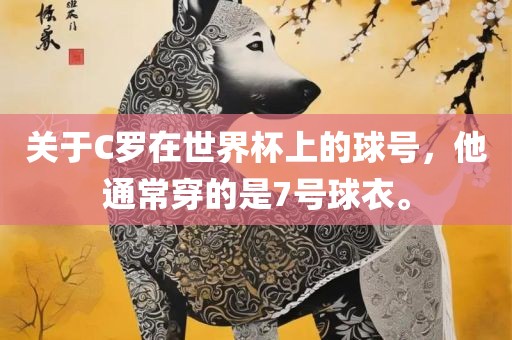 关于C罗在世界杯上的球号，他通常穿的是7号球衣。广西贺州市华昌新材料有限公司