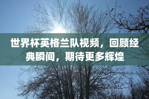 世界杯英格兰队视频，回顾经典瞬间，期待更多辉煌广西贺州市华昌新材料有限公司