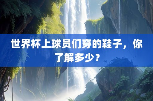 世界杯上球员们穿的鞋子，你了解多少？广西贺州市华昌新材料有限公司