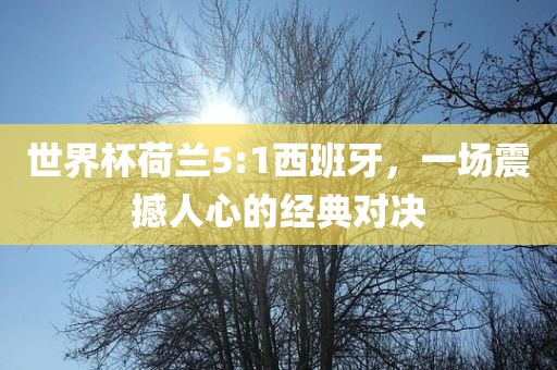 世界杯荷兰5:1西班牙，一场震撼人心的经典对决广西贺州市华昌新材料有限公司