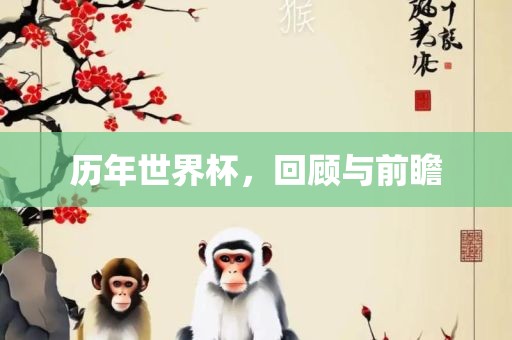 历年世界杯，回顾与前瞻广西贺州市华昌新材料有限公司