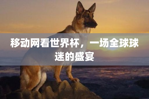 移动网看世界杯，一场全球球迷的盛宴广西贺州市华昌新材料有限公司
