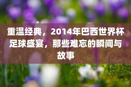 重温经典，2014年巴西世界杯足球盛宴，那些难忘的瞬间与故事