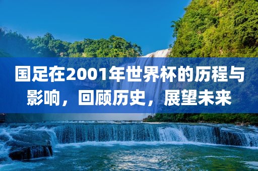 国足在2001年世界杯的历程与影响，回顾历史，展望未来广西贺州市华昌新材料有限公司