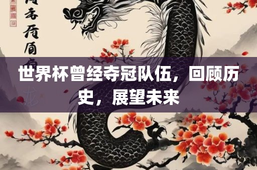世界杯曾经夺冠队伍，回顾历史，展望未来