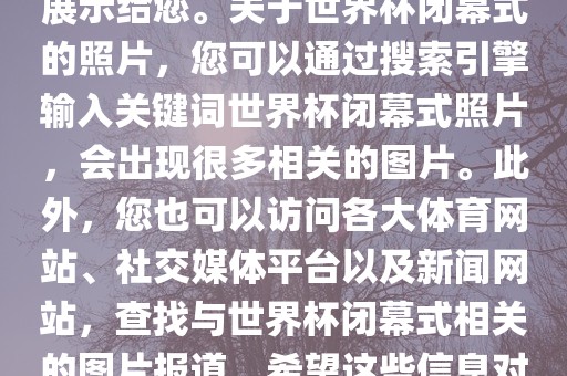 由于照片是静态的，无法直接展示给您。关于世界杯闭幕式的照片，您可以通过搜索引擎输入关键词世界杯闭幕式照片，会出现很多相关的图片。此外，您也可以访问各大体育网站、社交媒体平台以及新闻网站，查找与世界杯闭幕式相关的图片报道。希望这些信息对您有所帮助。广西贺州市华昌新材料有限公司