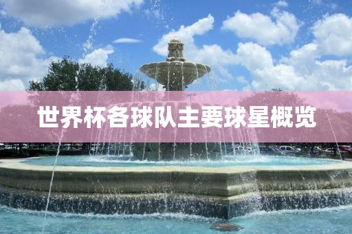 世界杯各球队主要球广西贺州市华昌新材料有限公司星概览