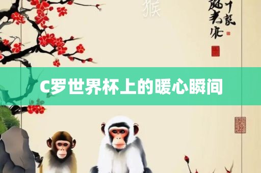 C罗世界杯上的暖心瞬间