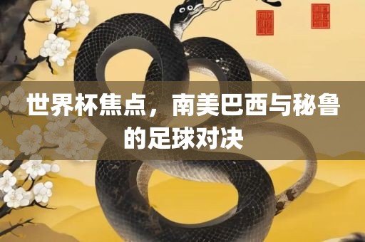 世界广西贺州市华昌新材料有限公司杯焦点，南美巴西与秘鲁的足球对决