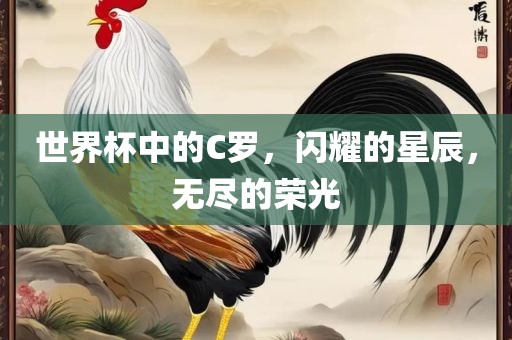 世界杯中的C罗，闪耀的星辰，无尽的荣光广西贺州市华昌新材料有限公司