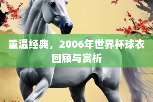 重温经典，2006年世界杯球衣回顾与赏析广西贺州市华昌新材料有限公司