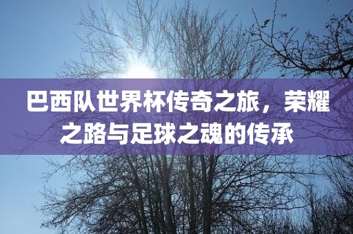 巴西队世界杯传奇之旅，荣耀之路与足球之魂的传承广西贺州市华昌新材料有限公司
