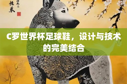 C罗世界杯足球鞋，设计与技术的完美结合