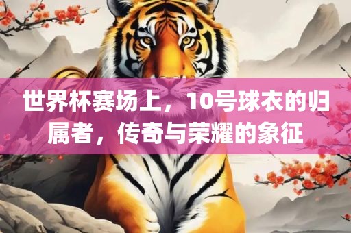 世界杯赛场上，10号球衣的归属者，传奇与荣耀的象征