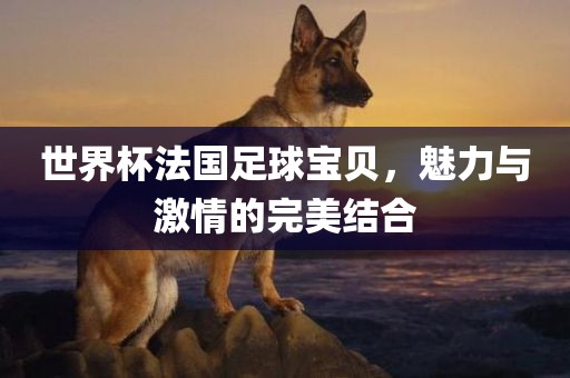 世界杯法国足球宝贝，魅力与激情的完美结合广西贺州市华昌新材料有限公司