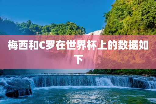 梅西和C罗在世界杯上的数据如下广西贺州市华昌新材料有限公司