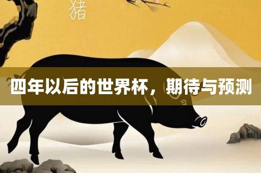 四年以后的世界杯，期待与预测广西贺州市华昌新材料有限公司