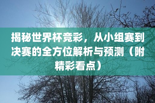 揭秘世界杯竞彩，从小组赛到决赛的全方位解析与预测（附精彩看点）