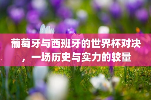 葡萄牙与西班牙的世界杯对决，一场历史与实力的较量