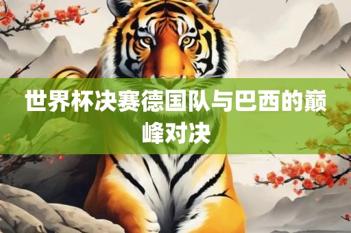 世界杯决赛德国队与巴西的巅峰对决广西贺州市华昌新材料有限公司