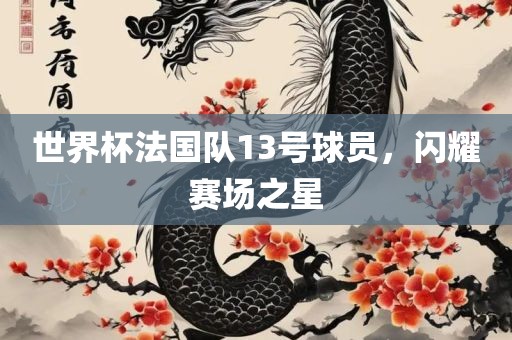 世界杯法国队13号球员，闪耀赛场之星