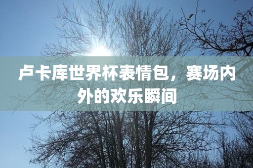 卢卡库世界杯表情包，赛场内外的欢乐瞬间广西贺州市华昌新材料有限公司