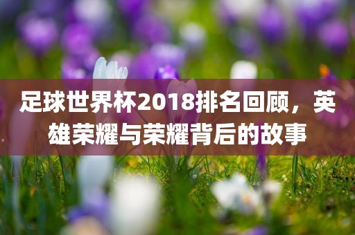 足球世界杯2018排名回顾，英雄荣耀与荣耀背后的故事
