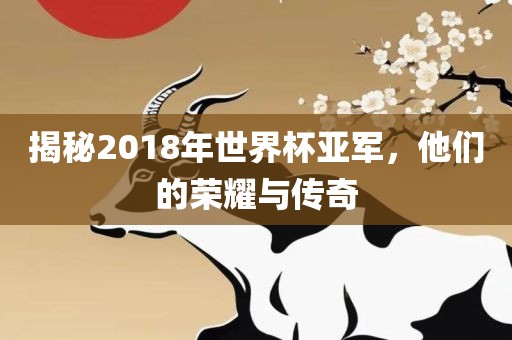 揭秘2018年世界杯亚军，他们的荣耀与传广西贺州市华昌新材料有限公司奇