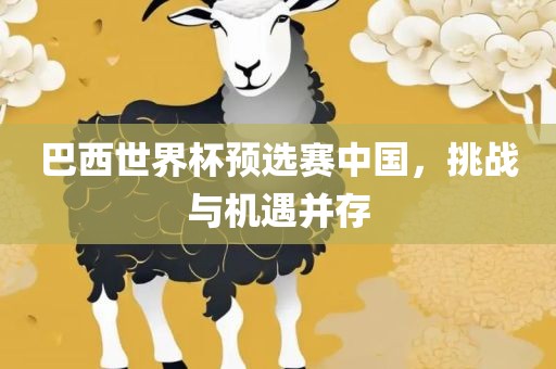 巴西世界杯预选赛中国，挑战与机遇并存