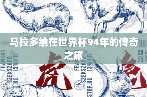 马拉多纳在世界杯94年的传奇之旅广西贺州市华昌新材料有限公司