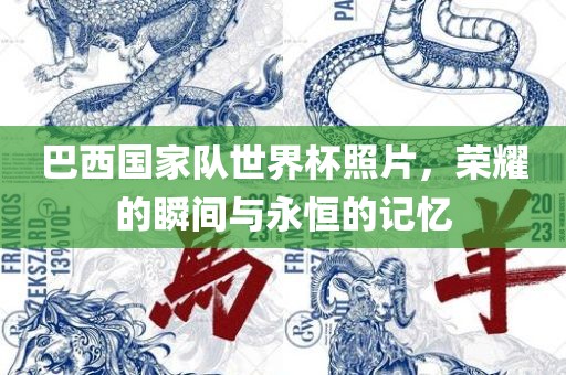 巴西国家队世界杯照片，荣耀的瞬间与永恒的记忆广西贺州市华昌新材料有限公司
